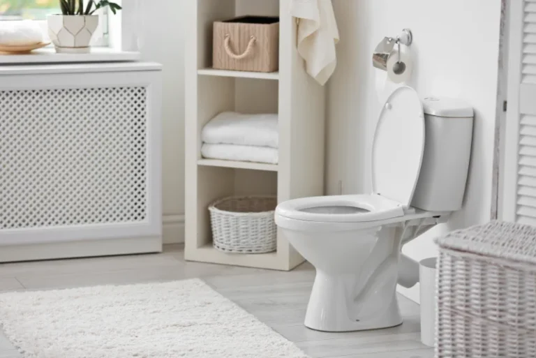 Photo: Therapy at Home: Support For Toileting
